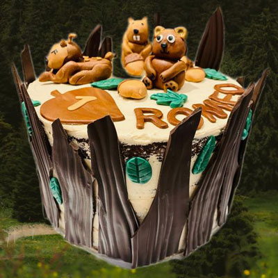 Cake design castor