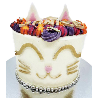 Gâteau Chat