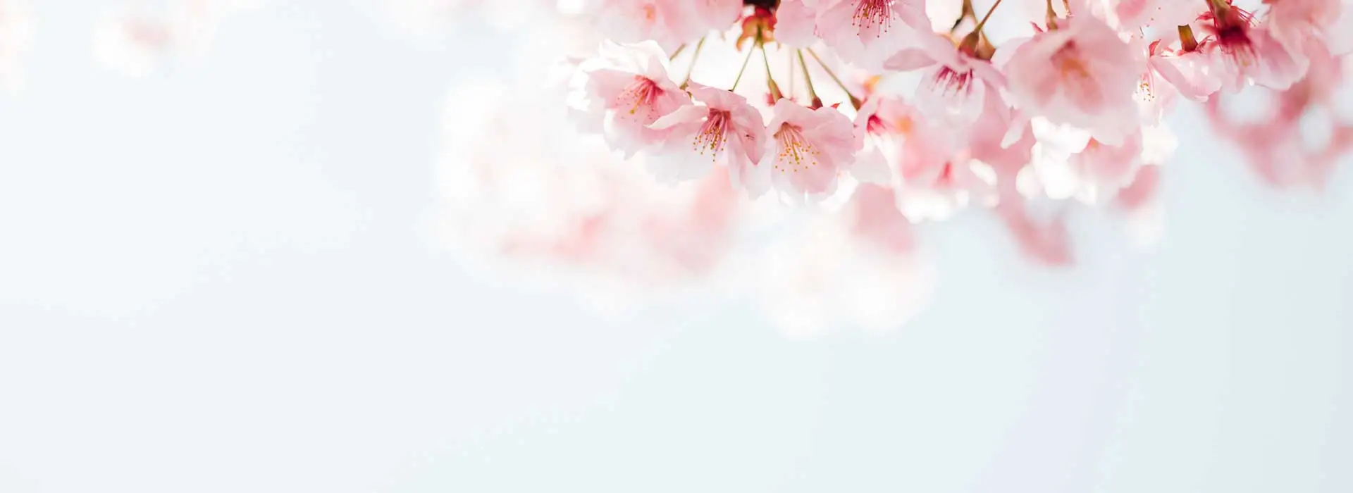 Le mois de mars à la pâtisserie Pop Cooking