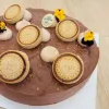 nut-1 Pop Cooking