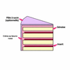 flower-cake-layer-cake-naked-cake-3 Pop Cooking